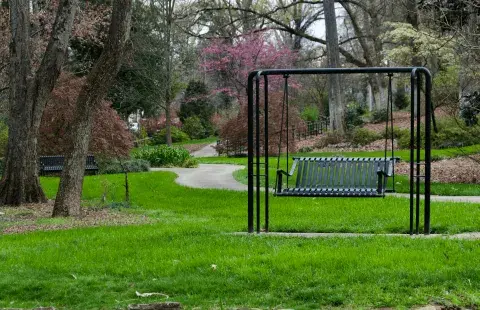 Park with swing bench, green grass, and winding path amid trees.
