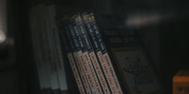 Close-up of books on a shelf in a dimly lit indoor setting. Ideal for educational themes.