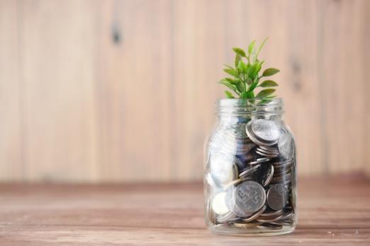 A plant growing from a jar filled with coins on a wooden surface.